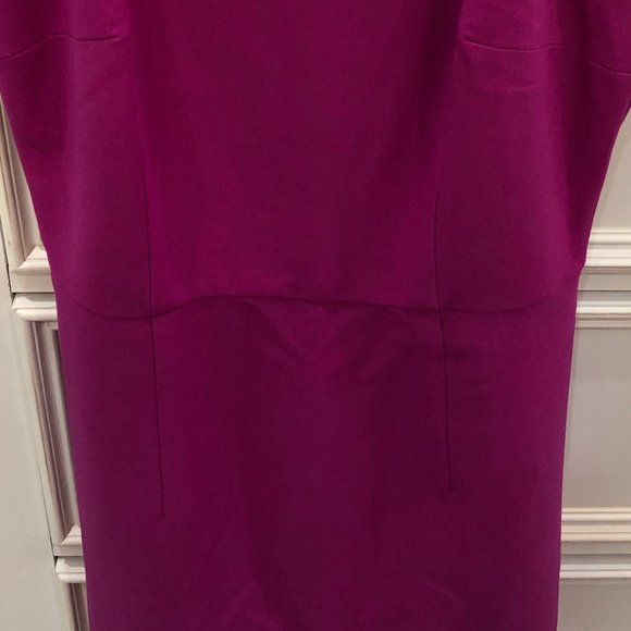 French Connection Dark Fuchsia Dress - Picture 2 of 4